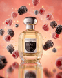 Blast - Vessence Luxe Private Limited