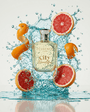 City Beautiful - Vessence Luxe Private Limited