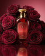 Vessence Attraction - Vessence Luxe Private Limited
