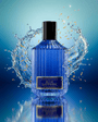 Vessence Blue Sapphire - Vessence Luxe Private Limited