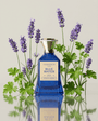 Vessence Blue Water - Vessence Luxe Private Limited