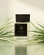 Vessence Cactus - Vessence Luxe Private Limited