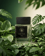 Vessence Cactus - Vessence Luxe Private Limited