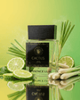 Vessence Cactus - Vessence Luxe Private Limited