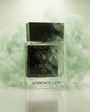 Vessence Cactus - Vessence Luxe Private Limited