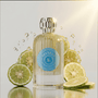 Vessence My Self - Vessence Luxe Private Limited