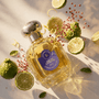 Vessence Safari Extreme - Vessence Luxe Private Limited