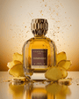 Vessence Symphony - Vessence Luxe Private Limited